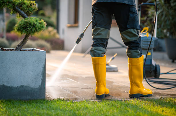 Best Affordable Pressure Washing  in Traer, IA